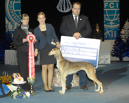 SM-vinnare junior handling 2011