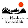 Norra Norrbottens Kennelklubb